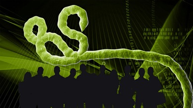 EE.UU. permite probar una vacuna contra el ébola en seres humanos