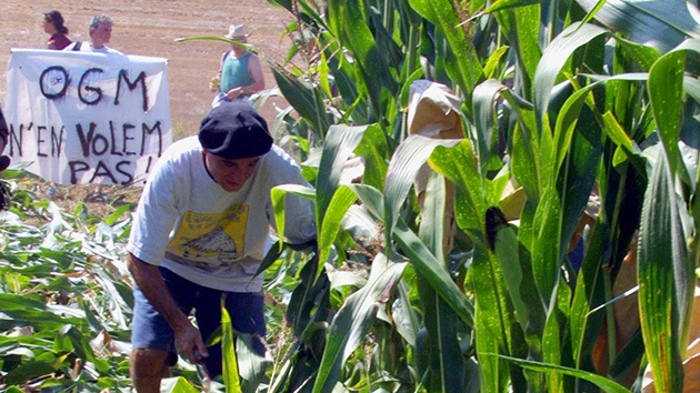 Monsanto y su 'oligarquía de la semilla', de nuevo en tela de juicio