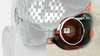 El ojo de Terminator ve la luz