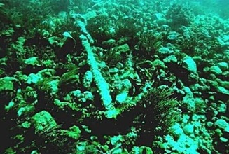 Encuentran valioso tesoro en aguas de República Dominicana