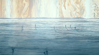 Video: Un corto viral sobre la conquista del espacio difunde la 'filosofía de las langostas'