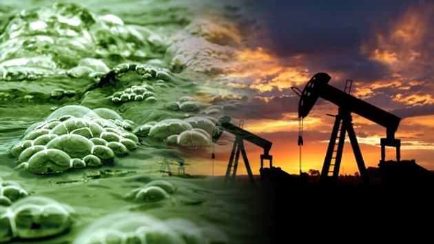 Algas transgénicas de Monsanto, ¿biocombustible o amenaza para el medioambiente?