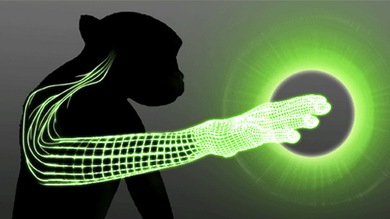 Un mono en EE.UU. manipula robots a distancia solo con la fuerza del pensamiento