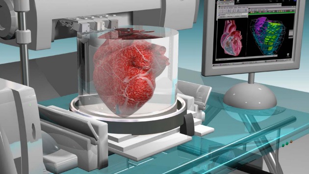 Rusia apuesta por la bioimpresión en serie de órganos humanos