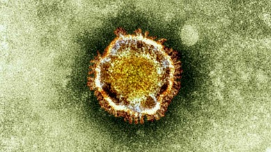 OMS: Dos nuevos virus respiratorios "podrían causar una epidemia global"