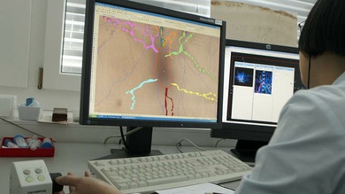 Descubren que la proteína de la longevidad puede hacerle más inteligente