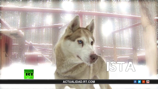 La lista de Erick: Un frío de perros