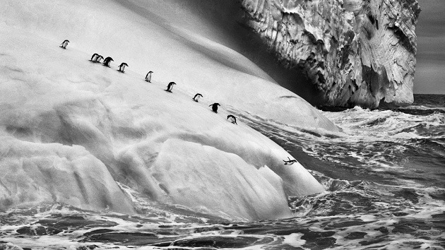 'Génesis': Fotos impresionantes de lugares vírgenes que revelan otra mirada al mundo