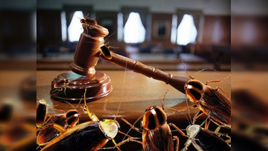 Cucarachas en defensa de "El Arte Prohibido"