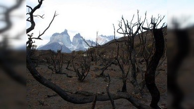 Un joven israelí sospechado de causar el incendio en la Patagonia chilena