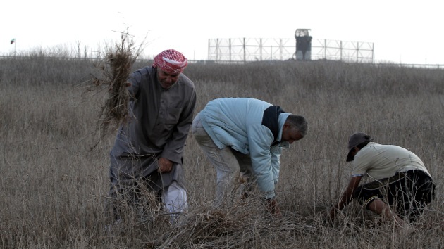 Un palestino, herido por soldados israelíes en la frontera de Gaza