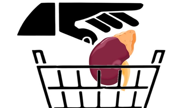 Trasplante fallido: una enfermera tira a la basura un riñón sano en EE.UU.