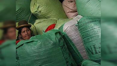 Lucha antidroga: EE. UU. aparca su cruzada en solitario y se asocia con Bolivia