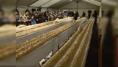 En Bélgica elaboraron el Tronco de Navidad más grande del mundo