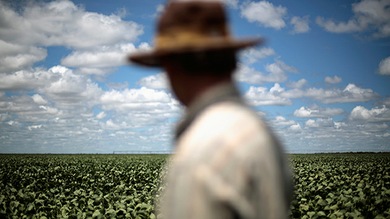 Agricultores de Brasil rechazan los cobros de Monsanto por semillas de soja transgénica