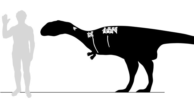 Hallan una nueva especie de dinosaurio carnívoro en Madagascar