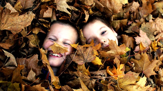 Científico: "Los niños nacen socialistas"