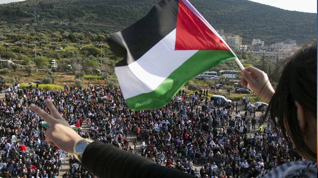 Protesta global de jóvenes palestinos por el "plan criminal" de Israel contra los beduinos