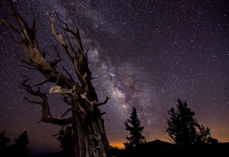 Obras de los mejores fotógrafos astronómicos