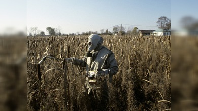 Chernóbyl y Fukushima, similitudes y diferencias. Parte IV: Consecuencias