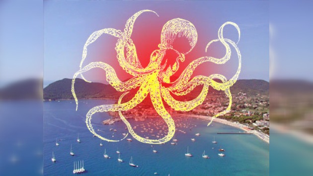 En Italia nombrarán calle en honor al famoso pulpo Paul