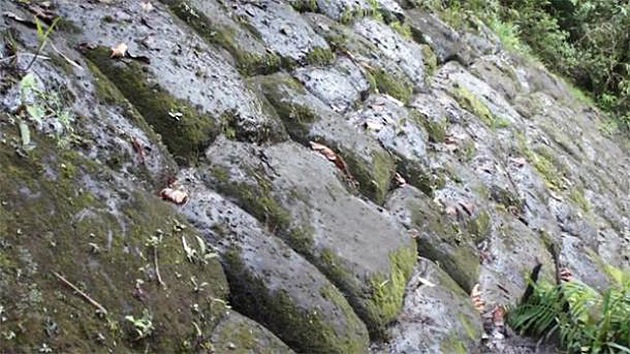 Video: Encuentran En Las Selvas De Ecuador La 'Ciudad Perdida De Los ...