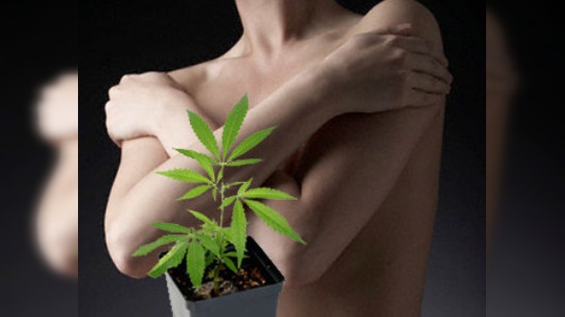 La marihuana podría frenar el cáncer de mama