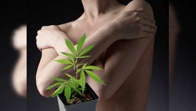 La marihuana podría frenar el cáncer de mama
