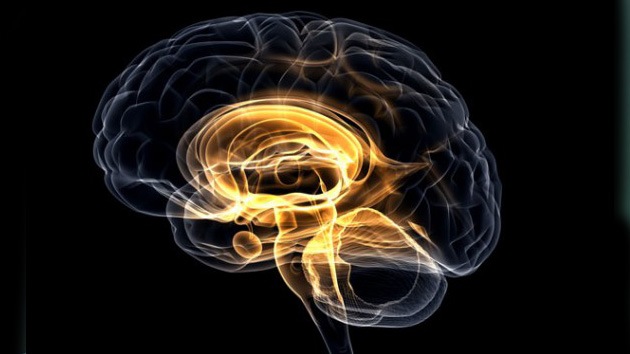 ¿Existirá la vida perfecta?: Los científicos podrían reescribir los recuerdos del cerebro