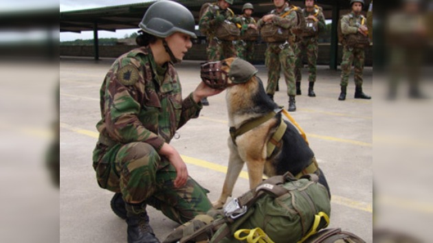 Uso de perros en operativos afganos causa protestas