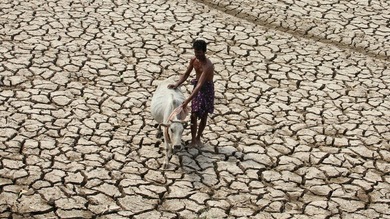 "Las guerras por el agua serán más cruentas que las guerras por el petróleo"