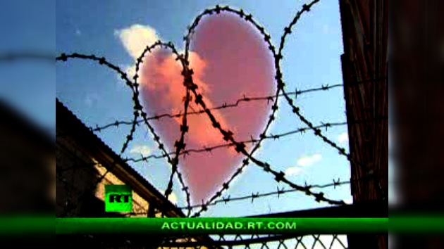 VEREDICTO DE AMOR