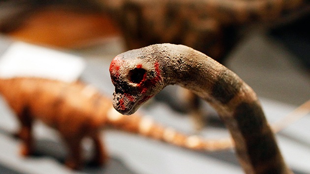 Hallan en Venezuela un dinosaurio desconocido hasta ahora