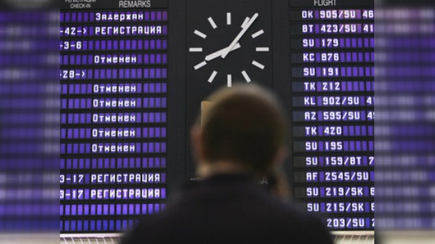 Un ternero paraliza el funcionamiento del principal aeropuerto de Moscú