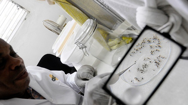 Medio millón de infectados por un virus sin cura en República Dominicana