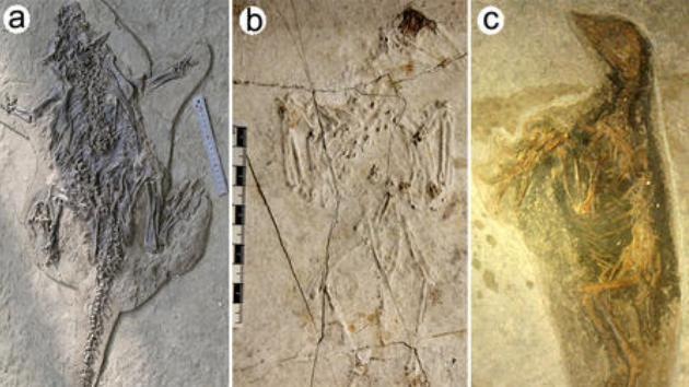 Científicos resuelven el misterio de la 'Pompeya china'