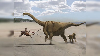 Saurópodos, viejos habitantes del Continente Blanco