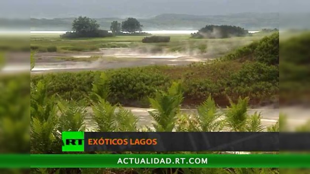EXÓTICOS LAGOS