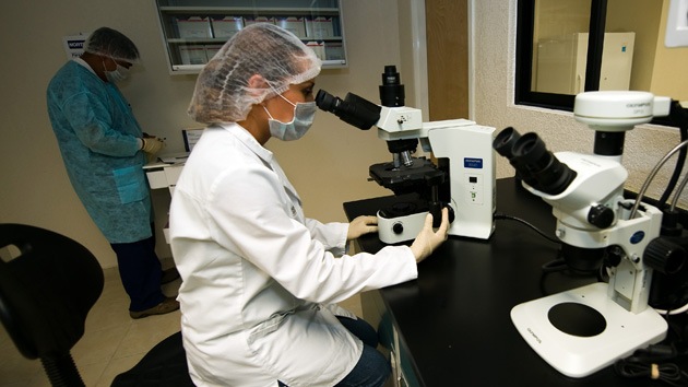 Descubren un virus antiguo esencial para el desarrollo del ser humano