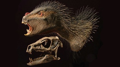 Vídeo: Reconstrucción del aspecto de un dinosaurio recién identificado