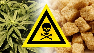 Los estadounidenses dicen que el azúcar es más dañino que la marihuana