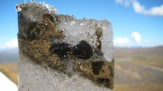 Logran resucitar un virus de hace 700 años