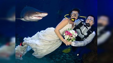 En Mallorca celebran bodas submarinas con tiburones como "testigos"
