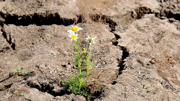 Mapa: Anomalías climáticas mundiales del abril de 2014, el más caluroso de la historia