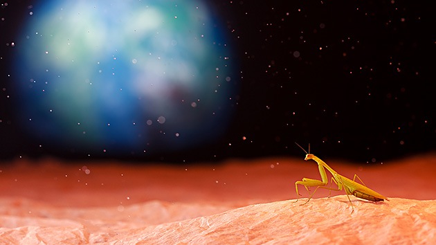 El subdirector de Tecnología de la Nasa cree firmemente en encontrar vida extreterrestre