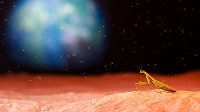 El subdirector de Tecnología de la Nasa cree firmemente en encontrar vida extreterrestre