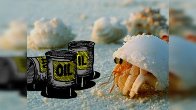 Chef de Nueva Orleans demandó a BP por reducción de pesca