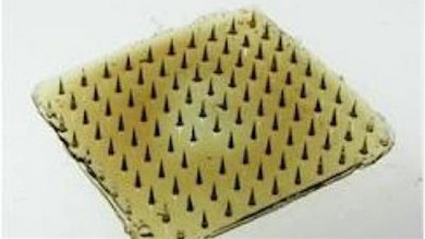 La medicina se inspira en gusanos parásitos para crear ‘bioadhesivos’ quirúrgicos