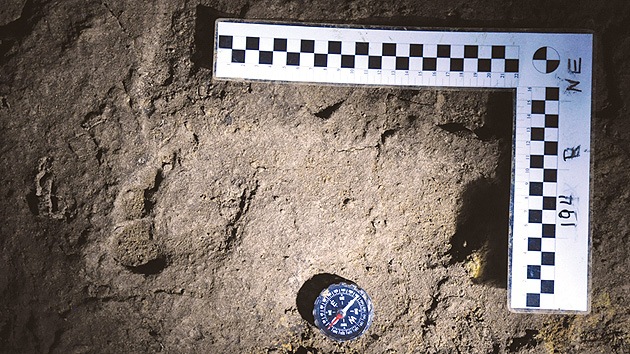 Descubren en Rumanía los restos de Homo sapiens más antiguos de Europa