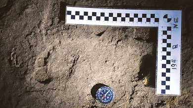 Descubren en Rumanía los restos de Homo sapiens más antiguos de Europa